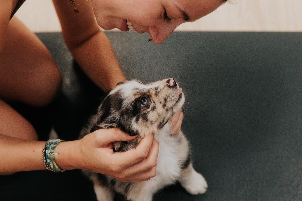 Images Puppy With Yoga