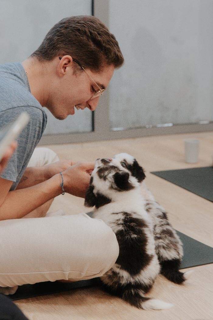 Images Puppy With Yoga