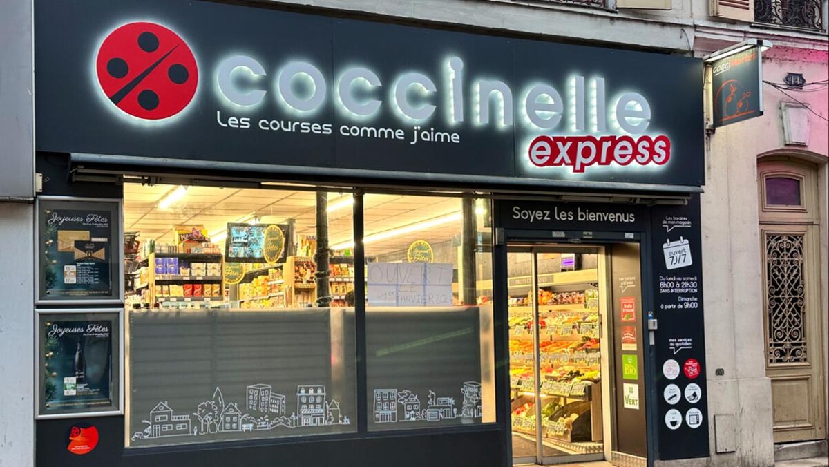 Images Coccinelle Express