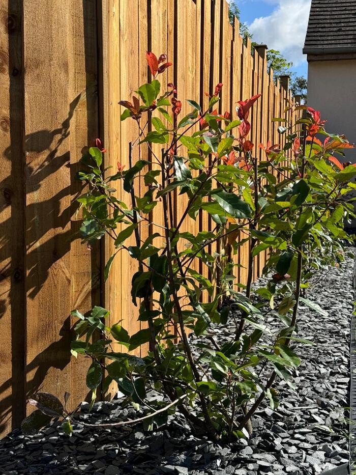 Images Daniel Moquet signe vos jardins - Ent. Sabot