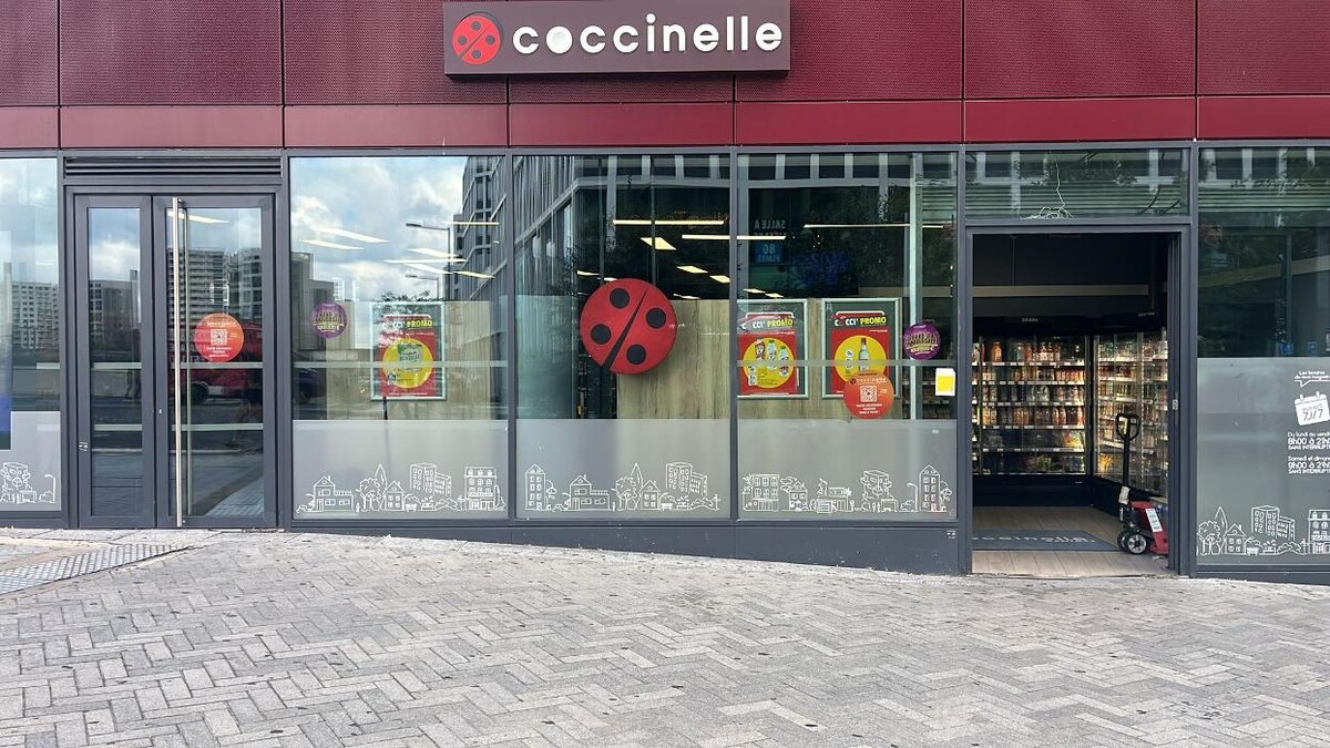 Images Coccinelle Express