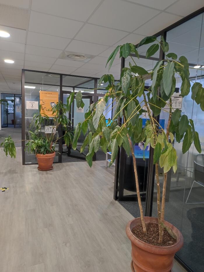 Images Agence d'intérim Randstad - Bordeaux Tertiaires