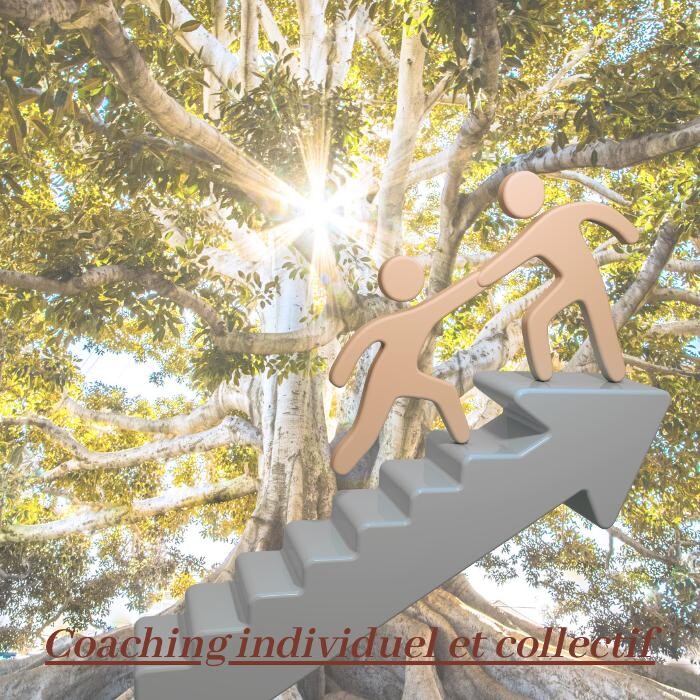 Images Vitaline Coaching