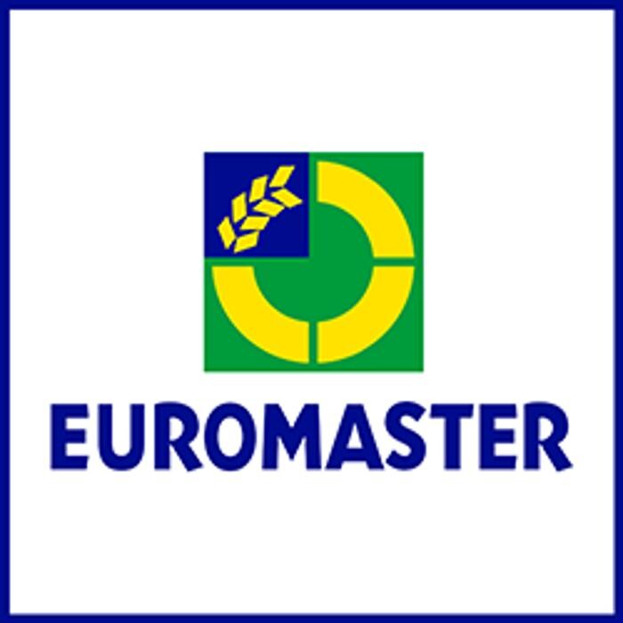 EUROMASTER MKF AUTO - Argenteuil Logo