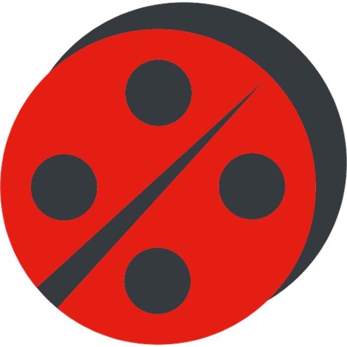 Coccinelle Express Logo