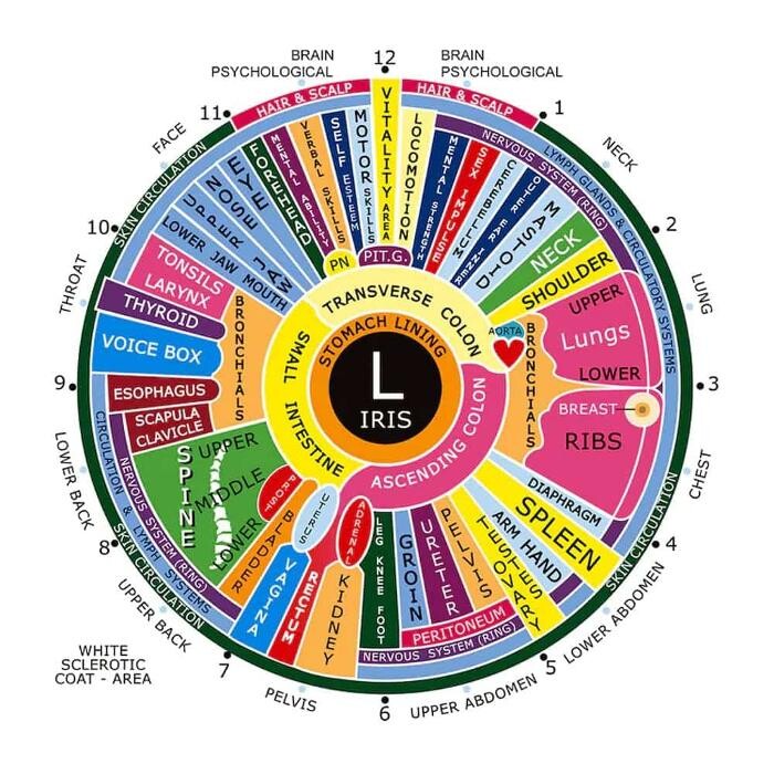 Images The Wellfare Cie France les services "bien-être" à domicile