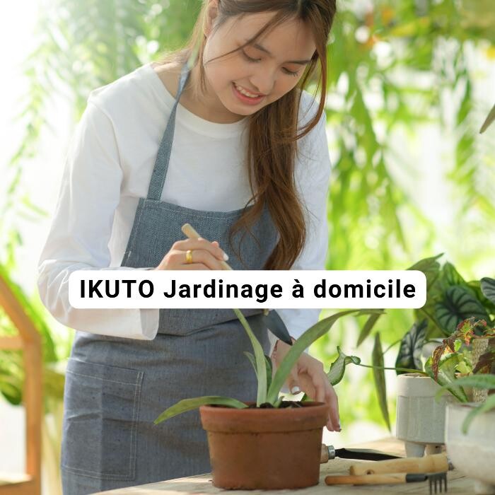Images IKUTO