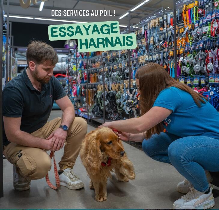 Images Tom&Co Denain