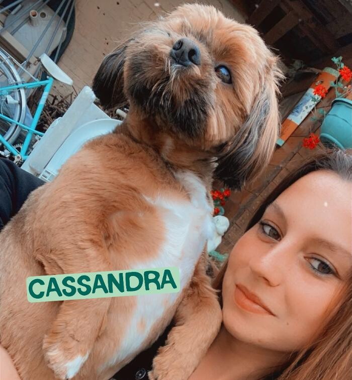 Images Tom&Co Denain