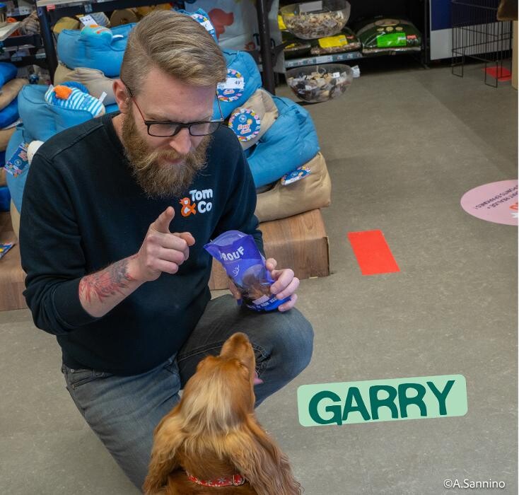 Images Tom&Co Denain