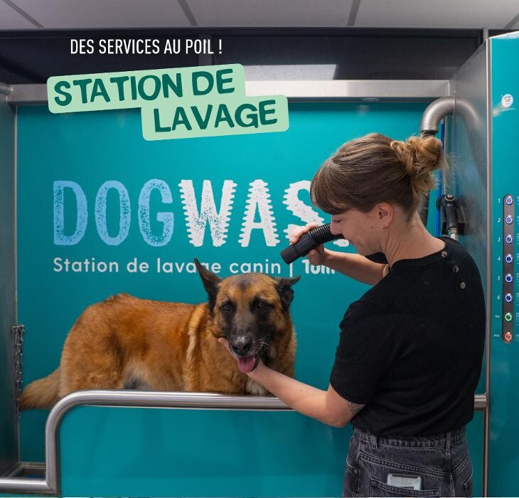 Images Tom&Co Denain