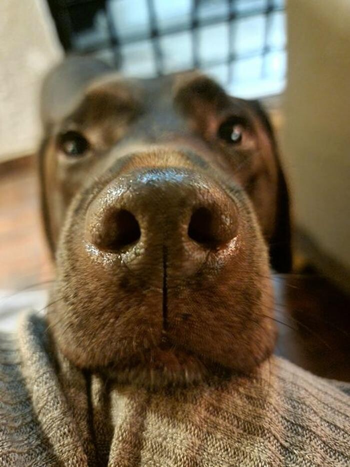 Images Chessington Veterinary Surgery