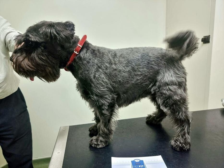 Images Chessington Veterinary Surgery