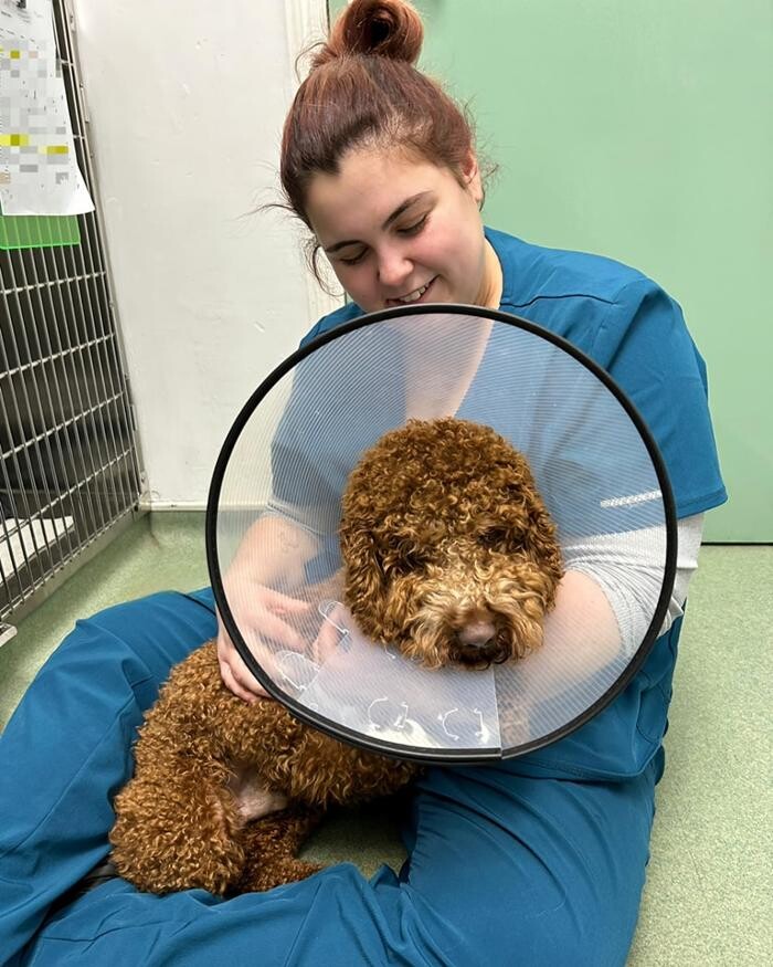 Images Chessington Veterinary Surgery