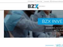 BZX INVESTMENTS LTD website screenshot