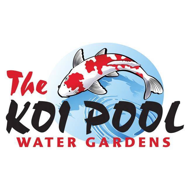 Images The Koi Pool Water Gardens