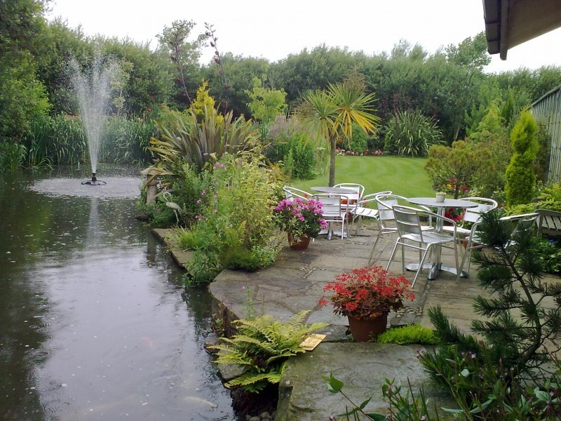 Images The Koi Pool Water Gardens