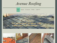 Avenue Roofing website screenshot