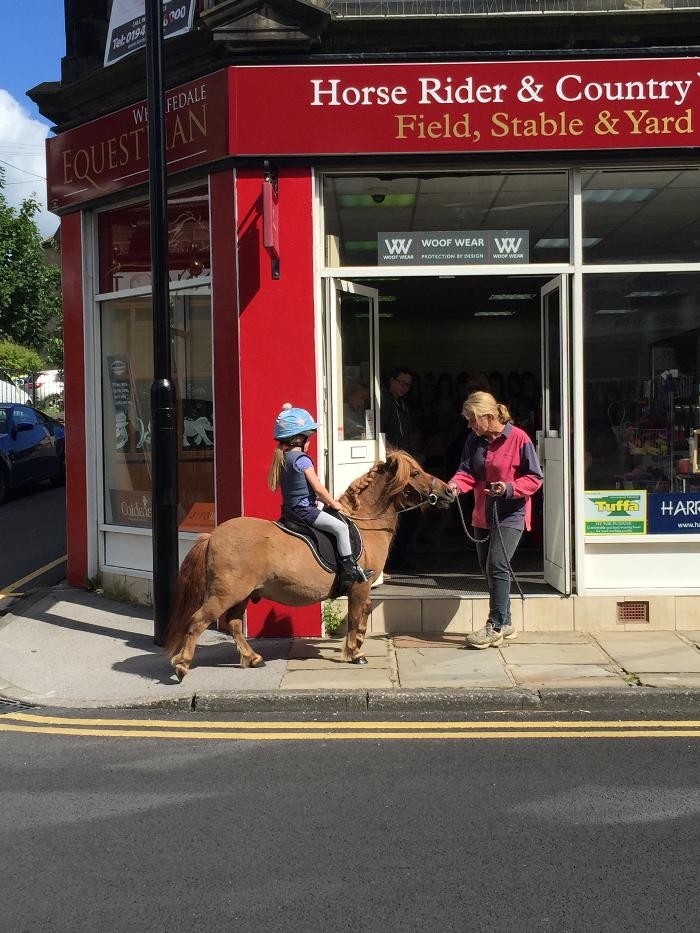 Images Wharfedale Equestrian Ltd