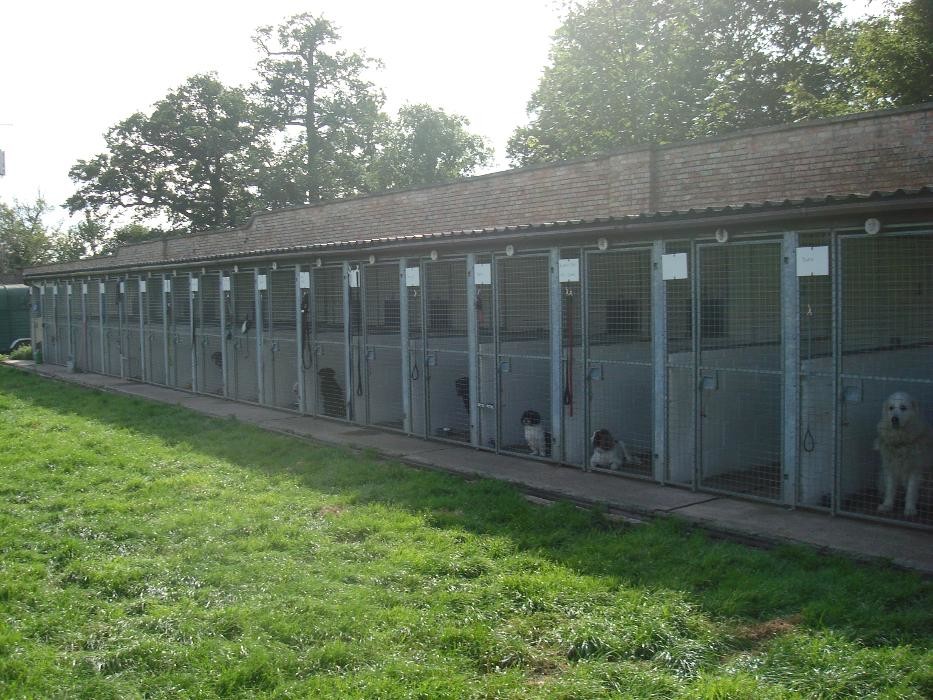 Images Cottage Kennels