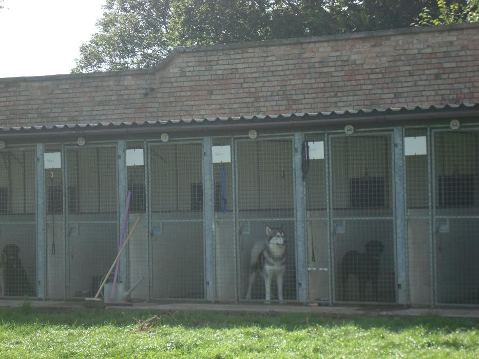 Images Cottage Kennels