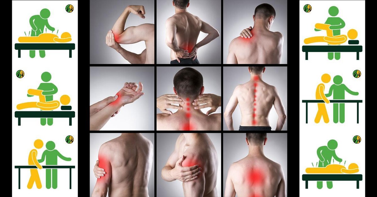 Images Well Life Physiotherapy & Massage