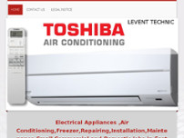 Levent Technical Services website screenshot