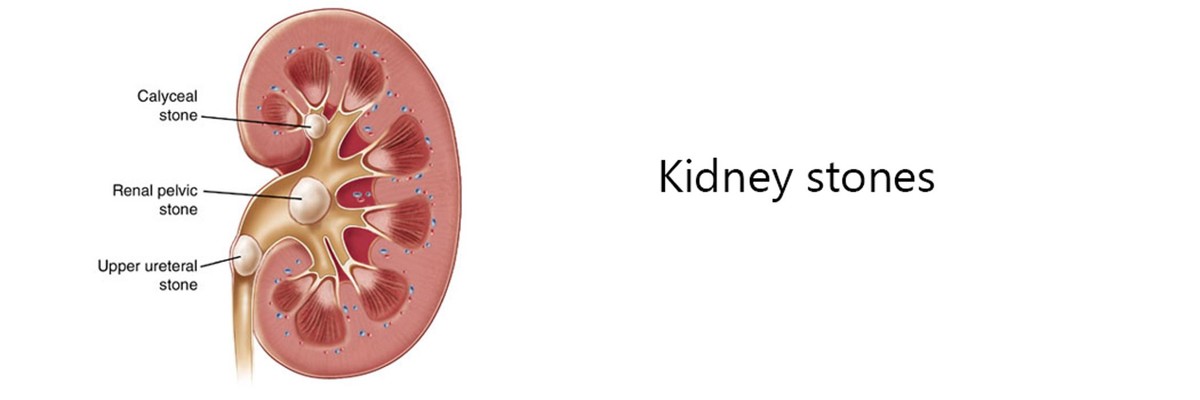 Images Oxford Urology Associates