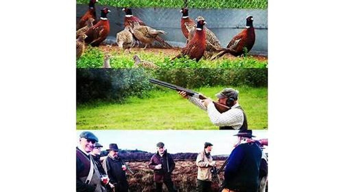 Images Urbalshinny Sporting Lodge