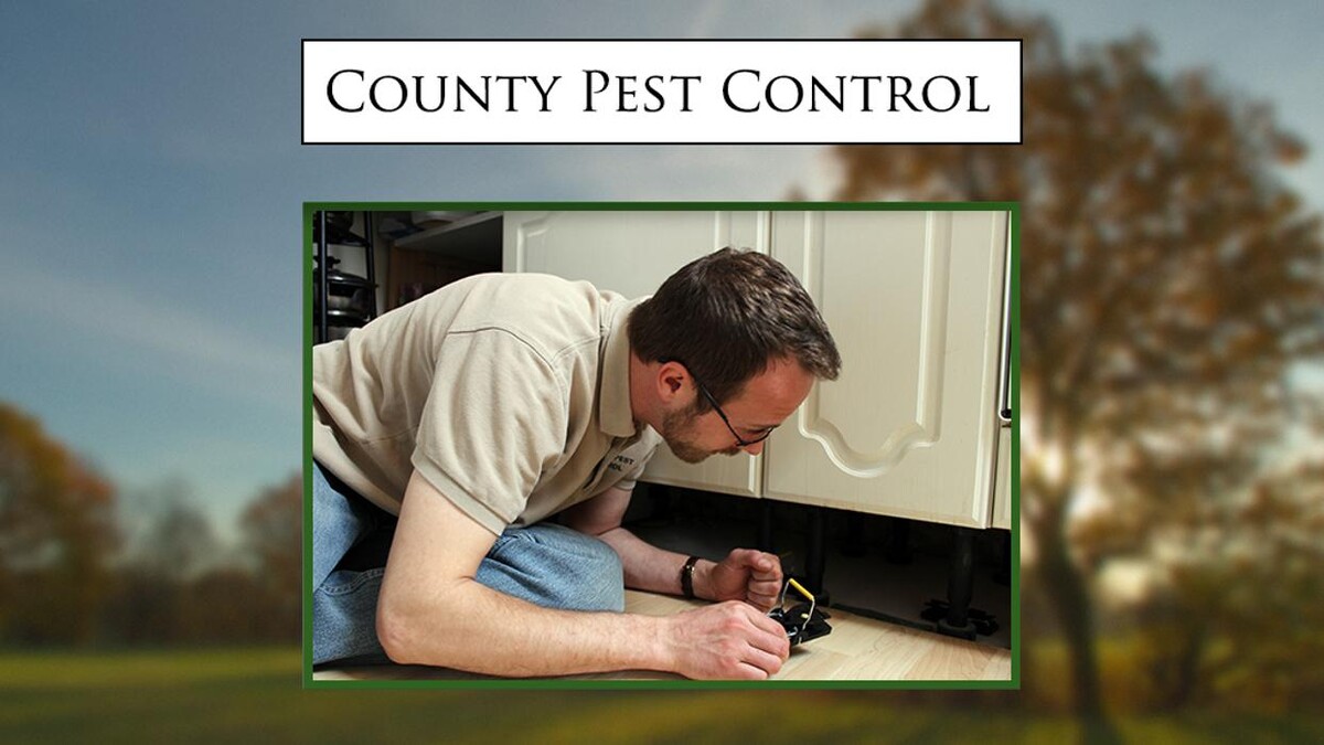 Images The County Pest Control