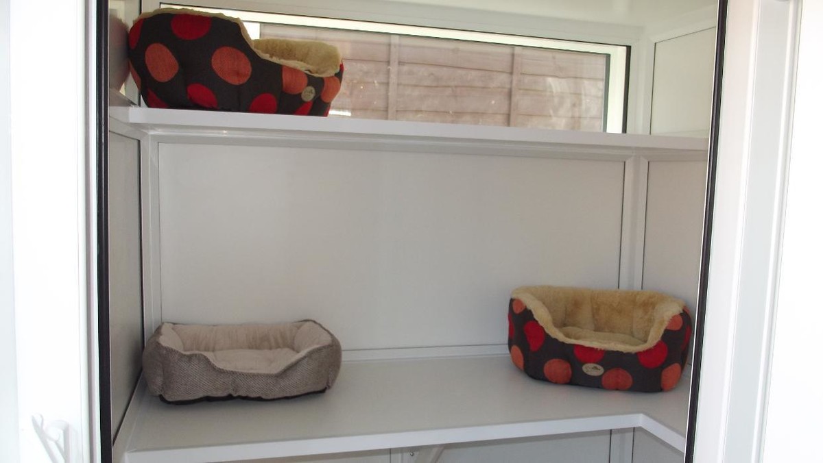 Images SpoiltCats Cattery