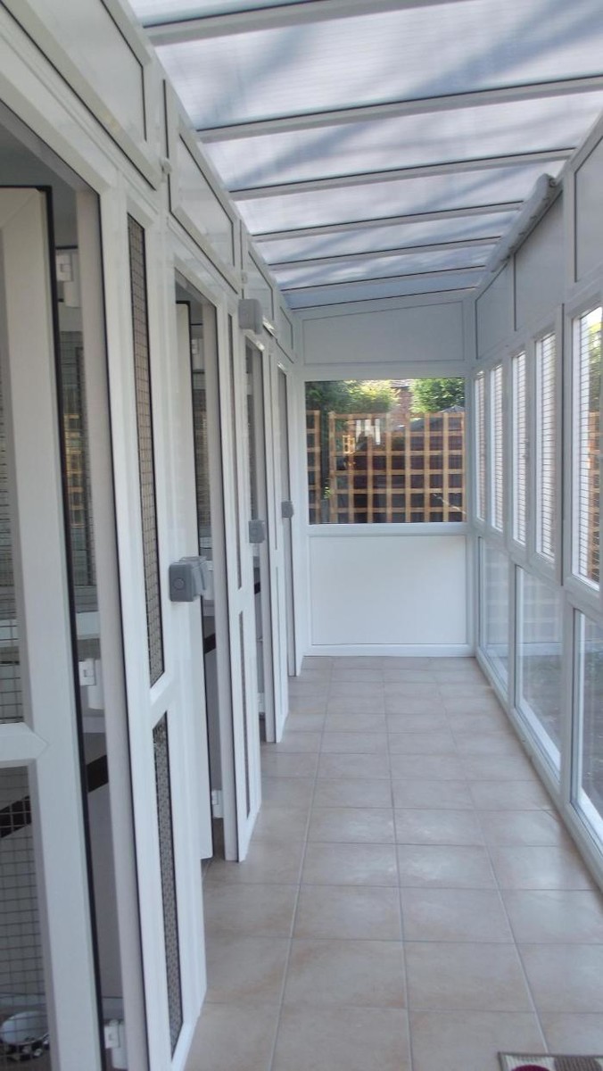 Images SpoiltCats Cattery