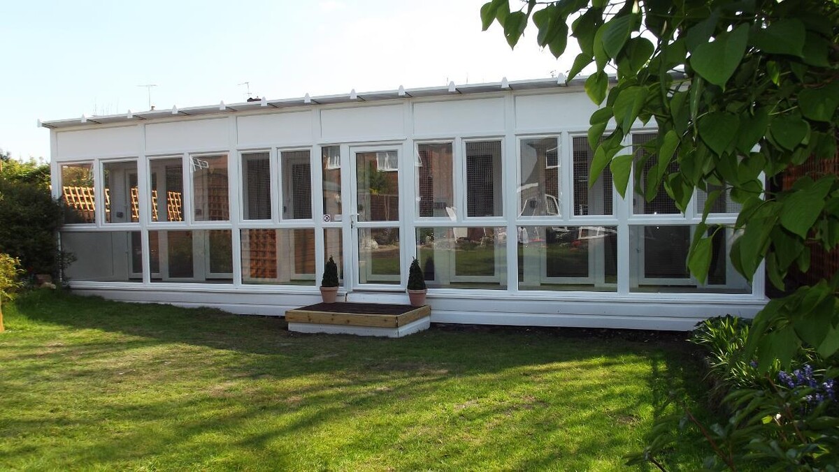 Images SpoiltCats Cattery