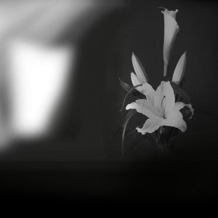 Images John Edwards Funeral Directors Ltd