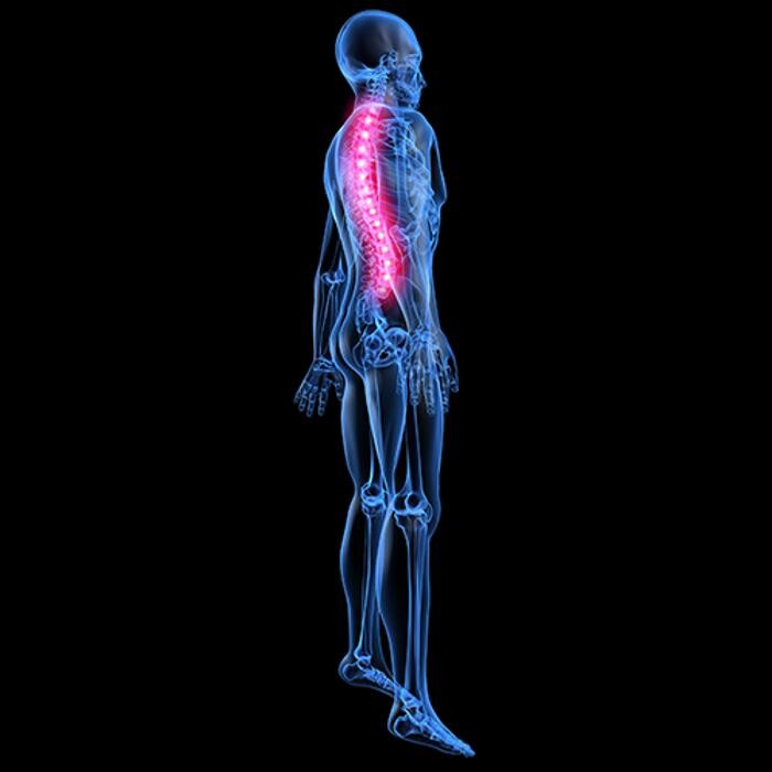 Images Roundhay Chiropractic Clinic