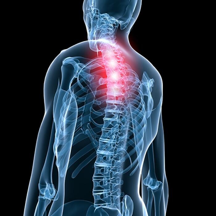 Images Roundhay Chiropractic Clinic