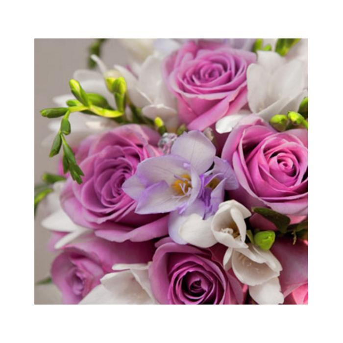 Images Pimlico Flowers