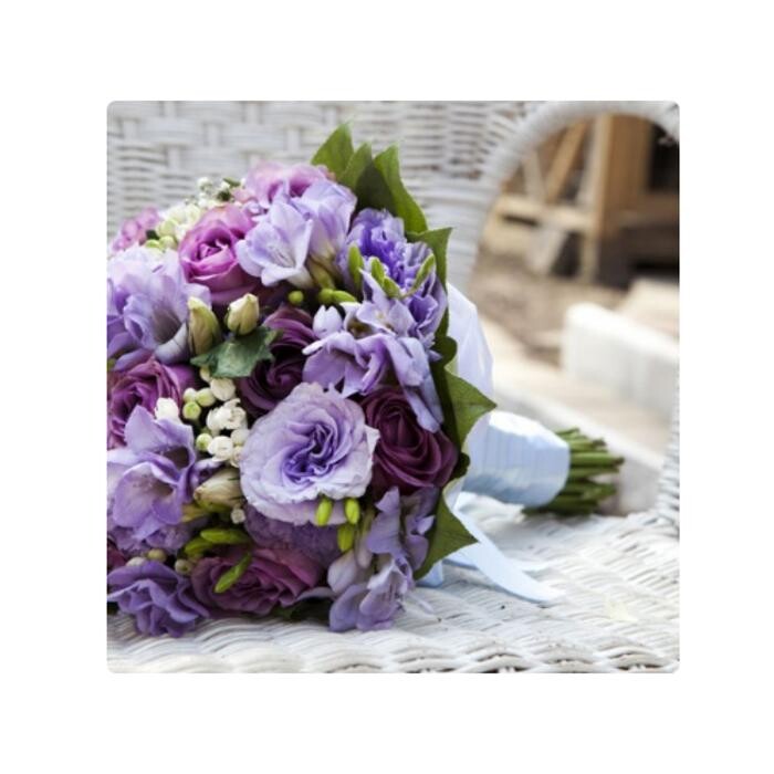 Images Pimlico Flowers