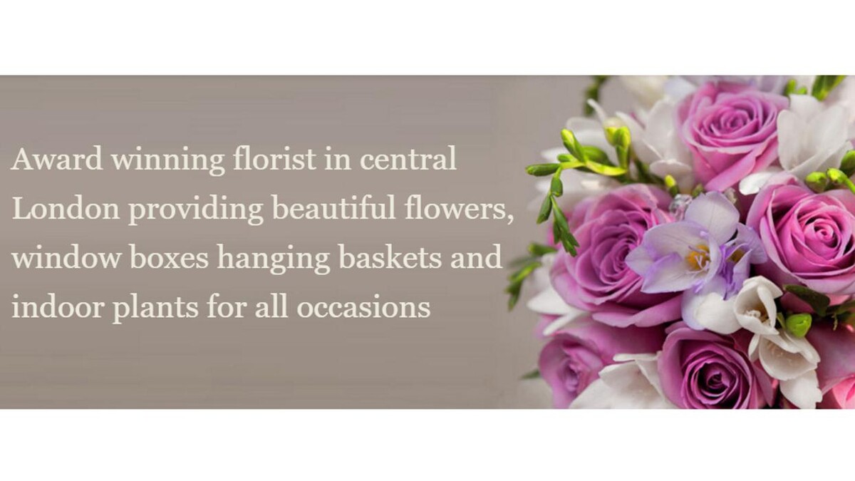 Images Pimlico Flowers