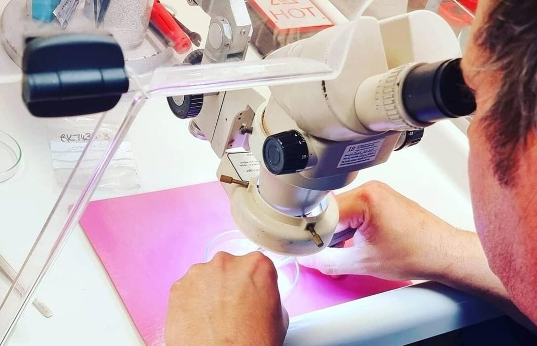 Images LAB (UK) Limited