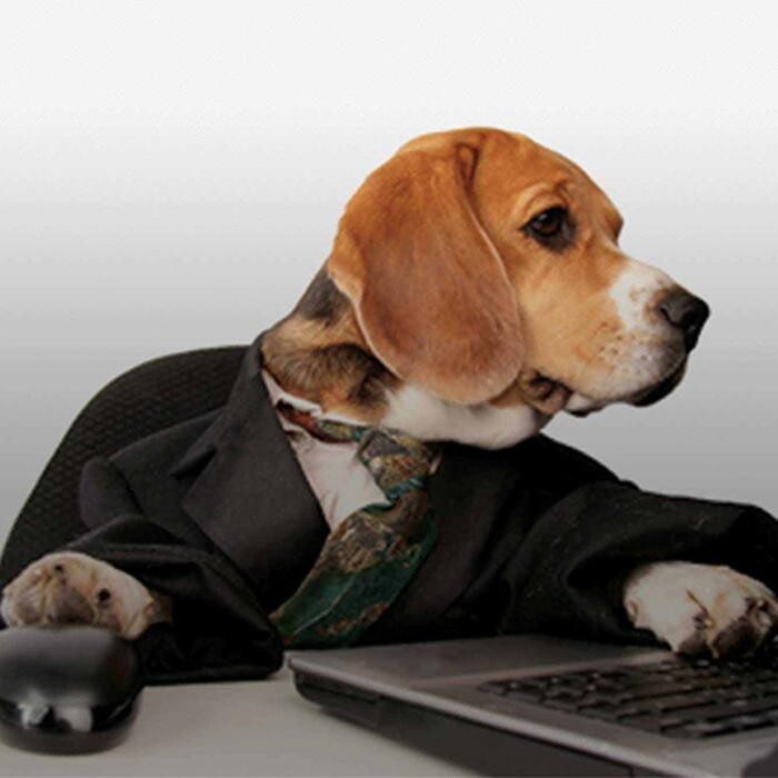 Images Marden & Co Accountants Ltd