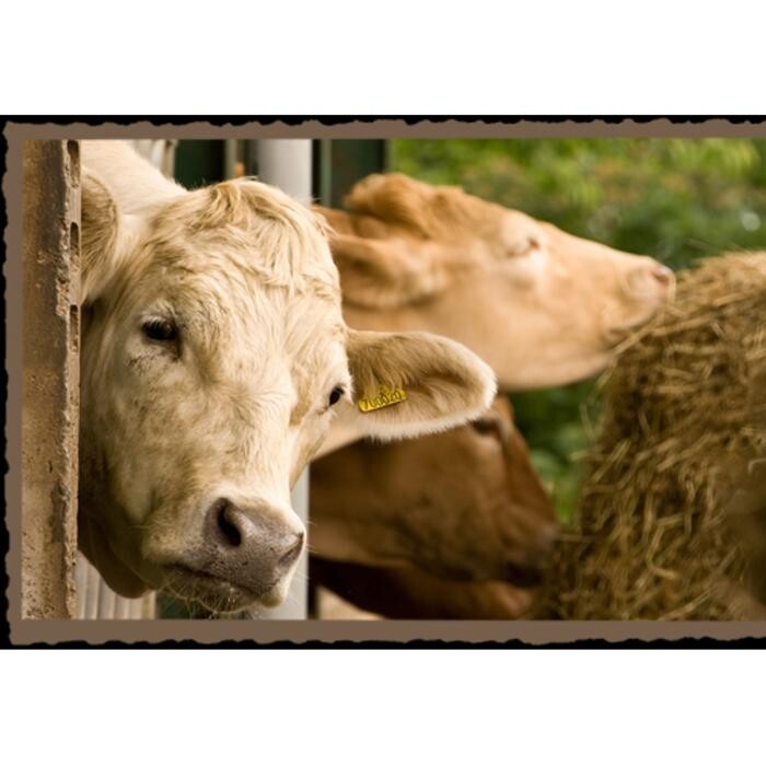 Images Oaklands Country Lodges