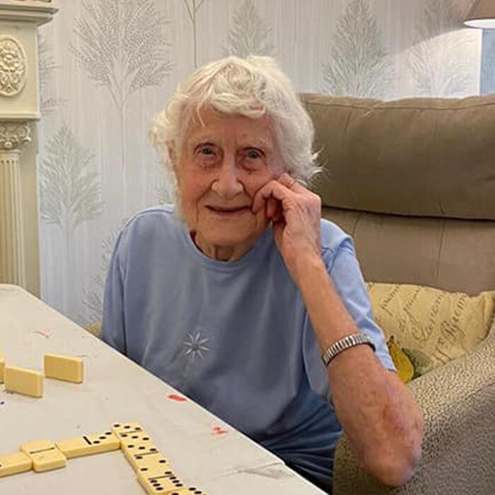 Images Horse Fair Care Home