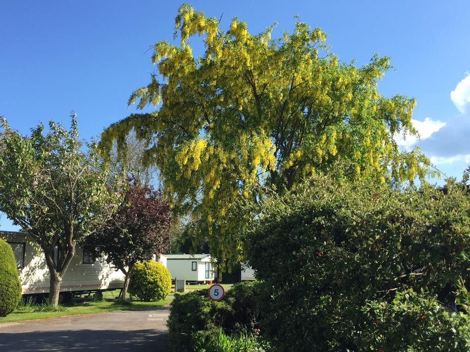 Images Wandleys Lane Caravan Park