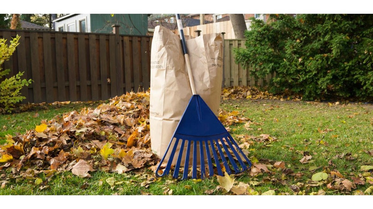 Images Shift It Waste Ltd