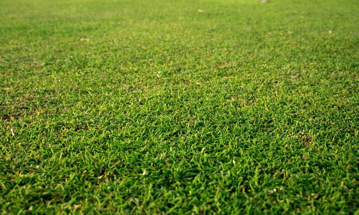 Images Lawn Revival Team