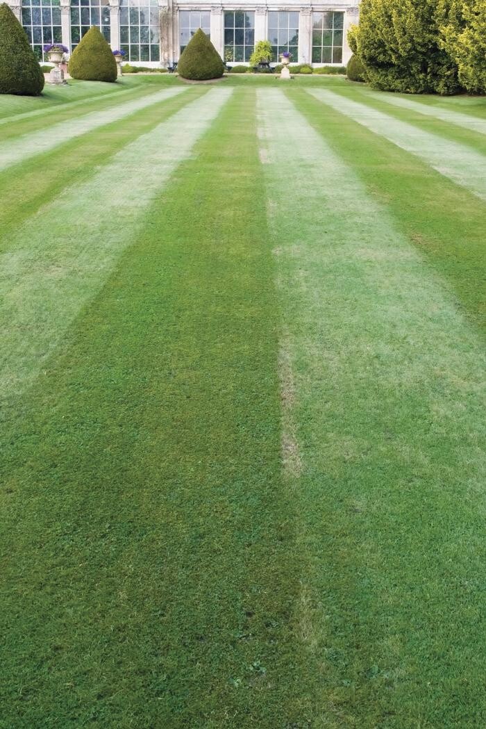 Images Lawn Revival Team