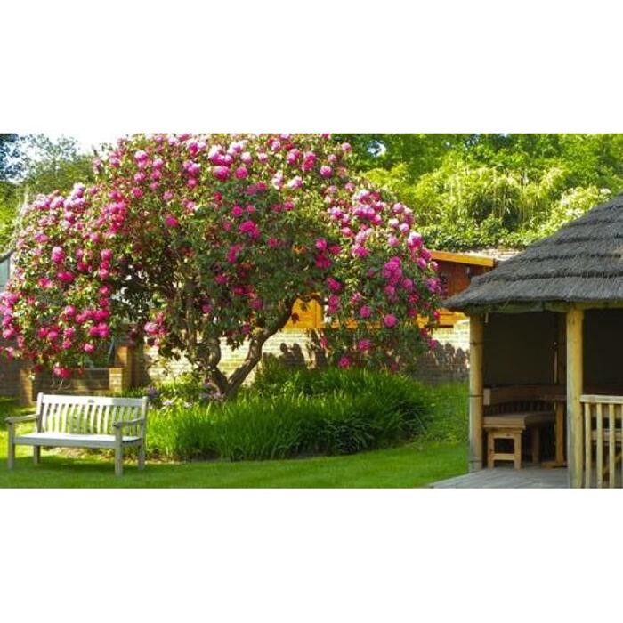Images The Grange Retirement Home (Chertsey)