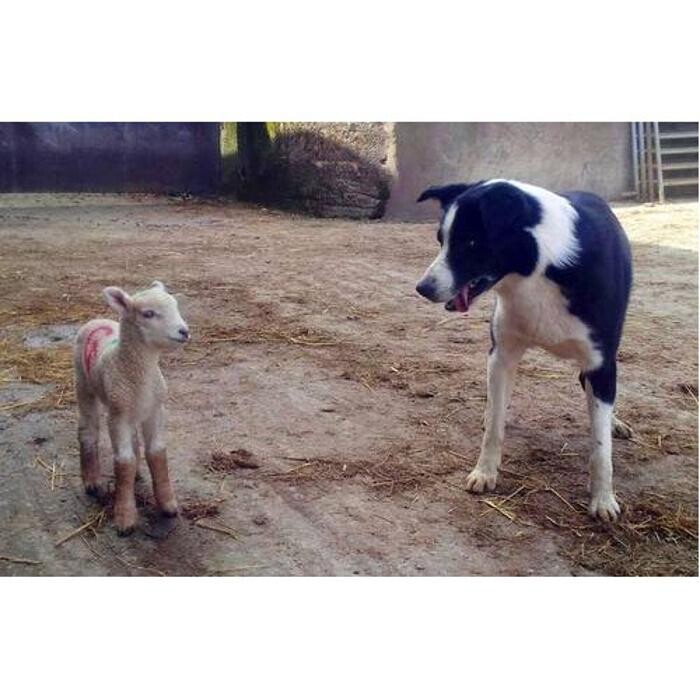 Images Drewstone Farm Self Catering Cottages