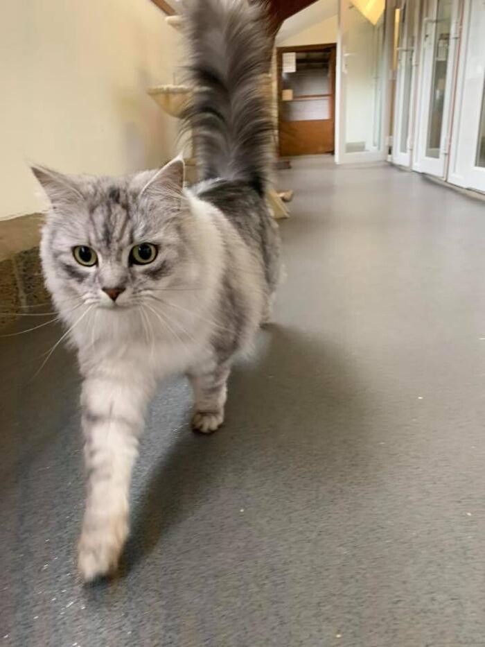 Images Home From Home Boarding Kennel & Cattery